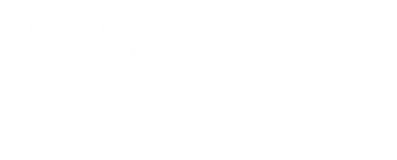 Bacilos